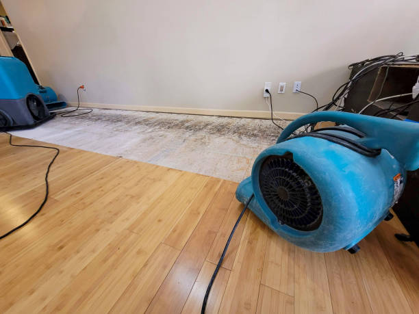 Professional Water Extraction technician working in Albany, MO